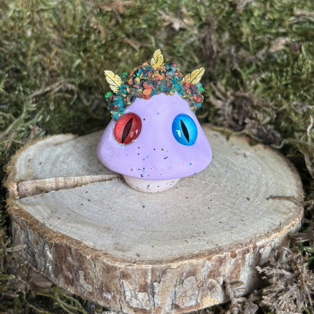 Champignon 11