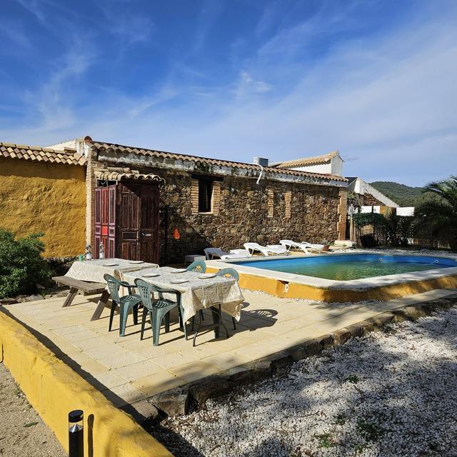 Alpaca walk with lunch pp