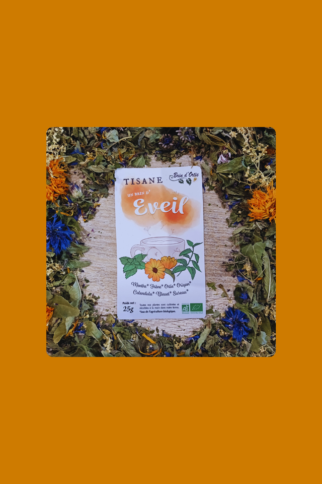 Brin d'éveil