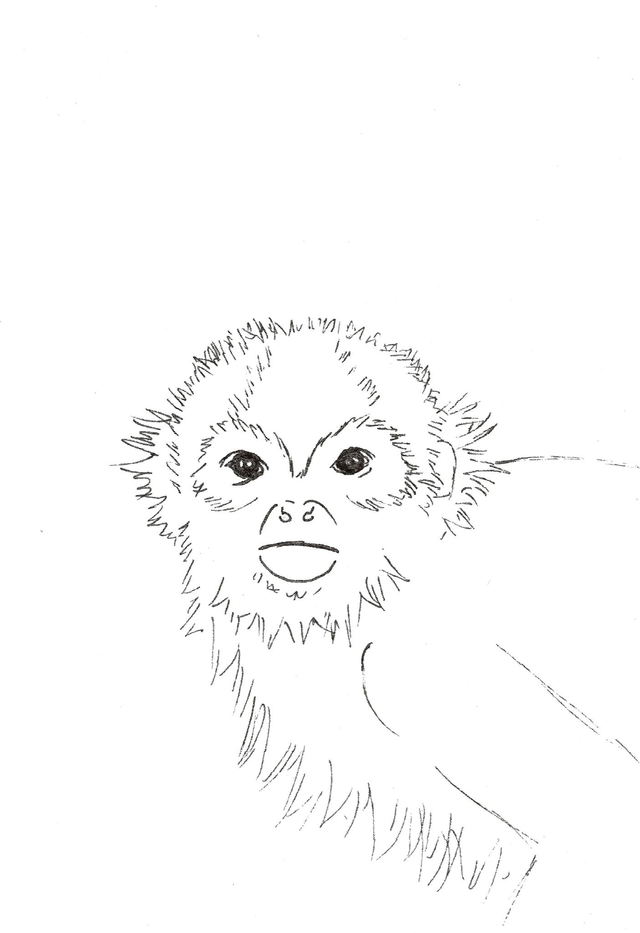 Carte &quot;Finis Moi!&quot; - Le Saïmiri