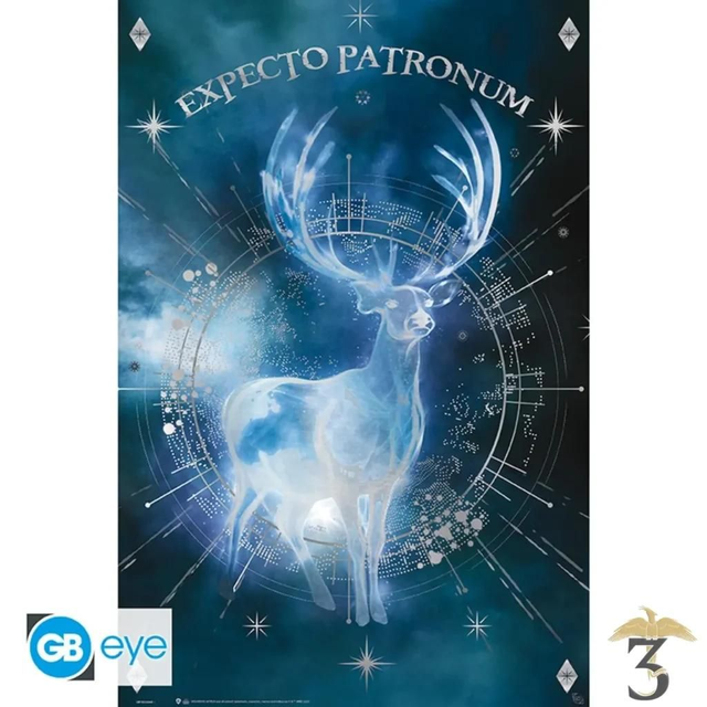 Poster expecto patronum effet métal 91×61

