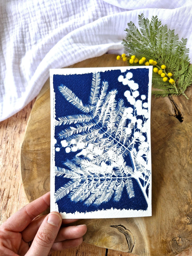 💙 Cyanotype - Carte 2 - Mimosa Ô! - Mini CyanÔ