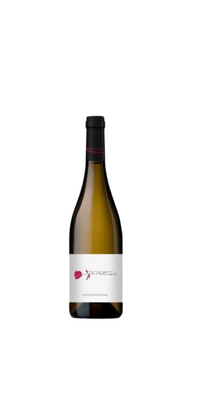 Tentation Blanc 2021, 75cl