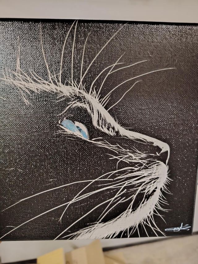Toile chat 