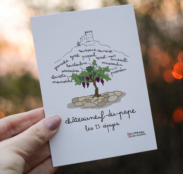 Cépages Châteauneuf du Pape