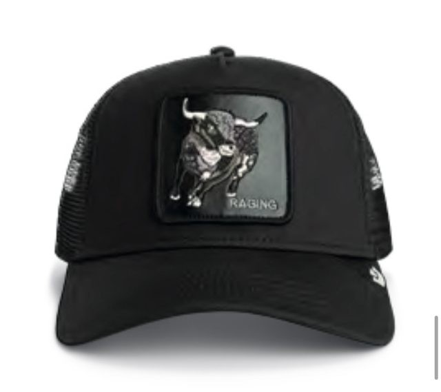 101-2535 Raging Trucker Goorin Bros 