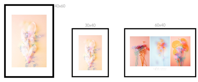 Collection du printemps * 8