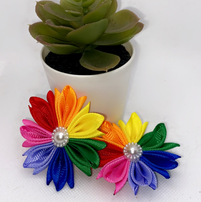 Fancy pride flowers 