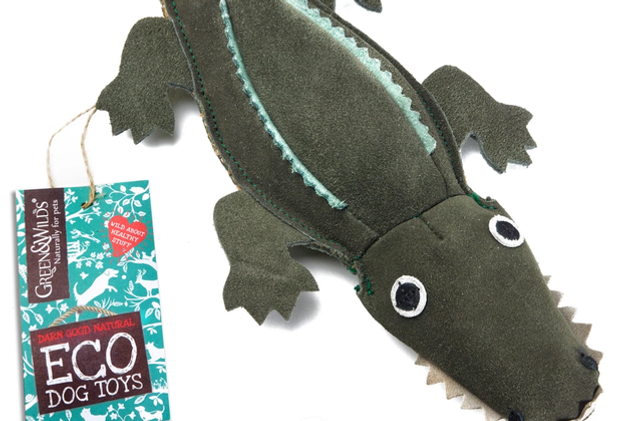 Green &amp; Wild | Colin The Crocodile