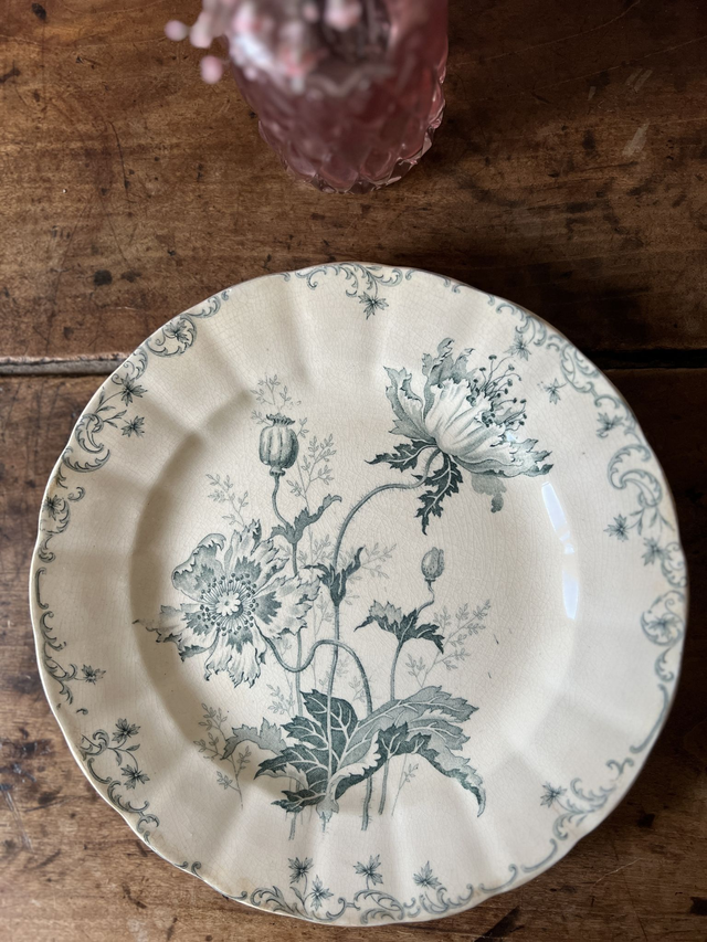 PAVOTS - Assiette à dessert Pavots signée Choisy le Roi - Terre de Fer