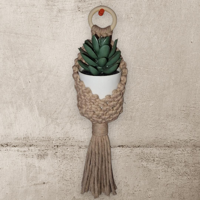 Suspension mini plante