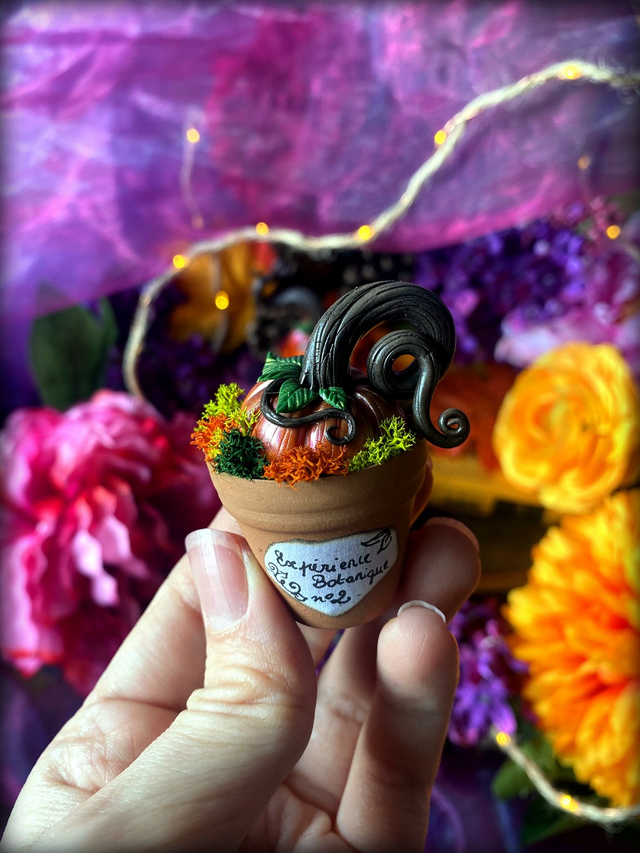 Expériences botaniques