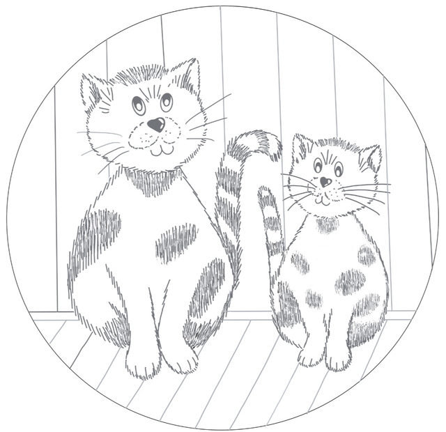 Kartonrondelle  Katz/Hund  1 Stk