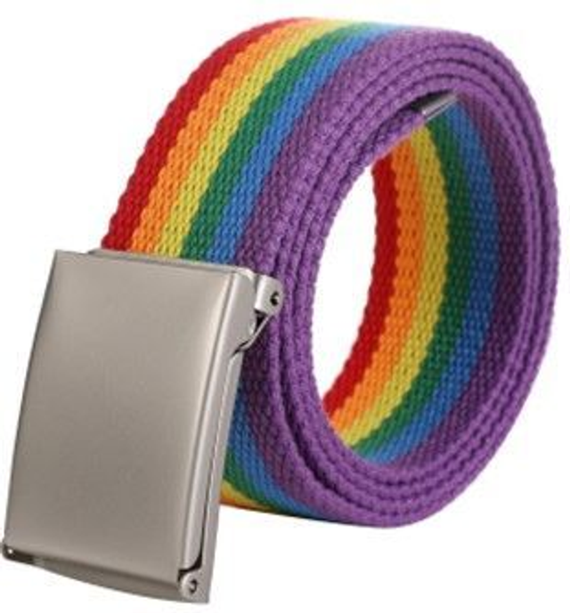 Rainbow Pride Webbing Belt