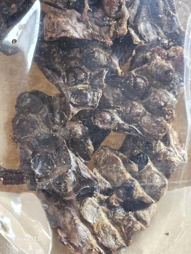  Rabbit Lung, Sealed Pack  (1)