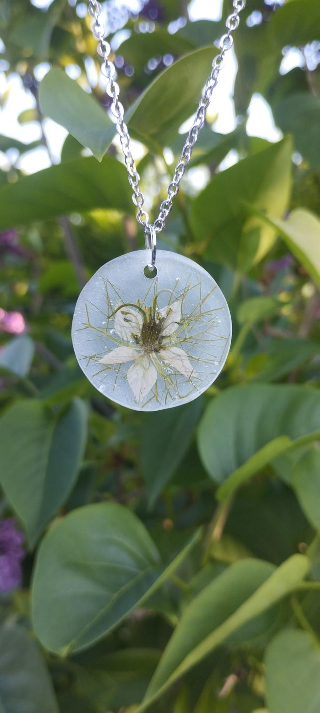 Végétalisman - Silence sacré