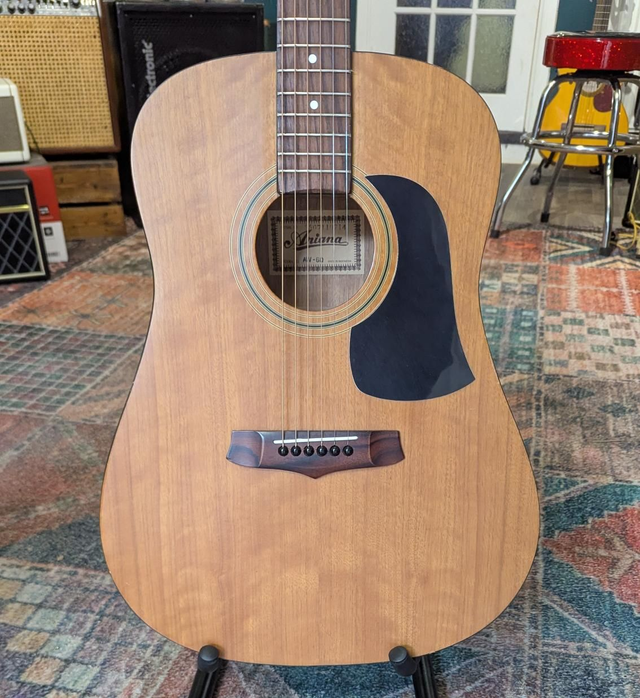 Ariana AW60 acoustic with pickup