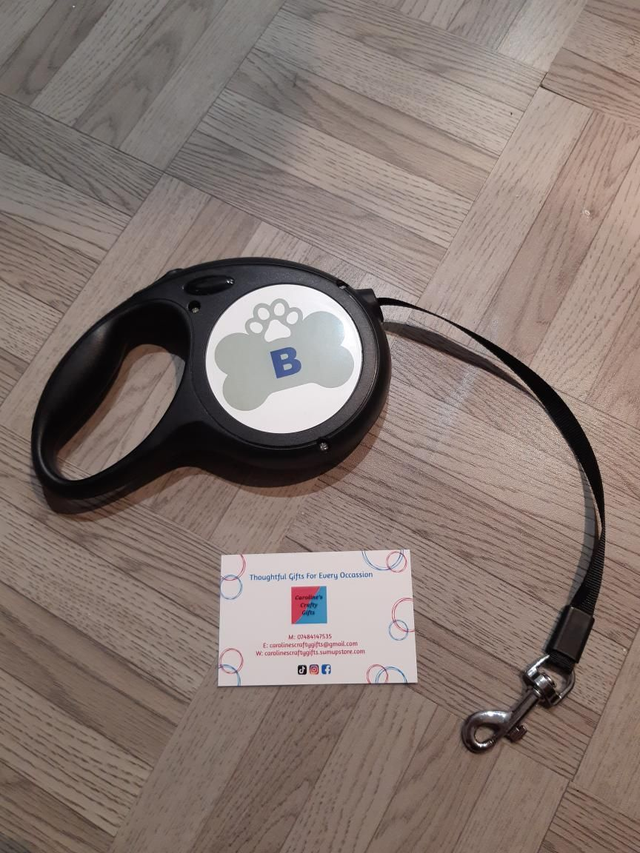 Pet retractable lead 