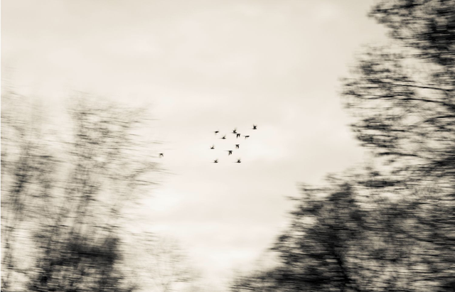 Ephemeral Pandemonium