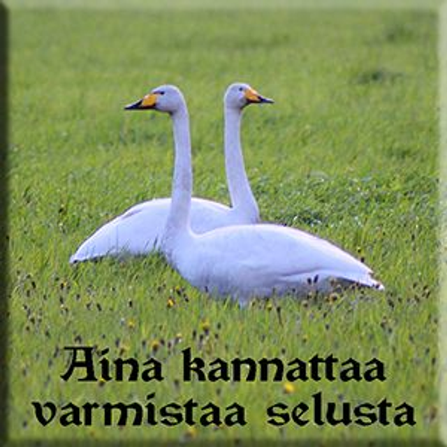 Magneetti "Aina kannattaa"