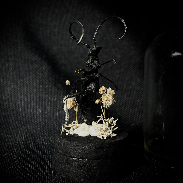 Miniature - Plusieurs choix