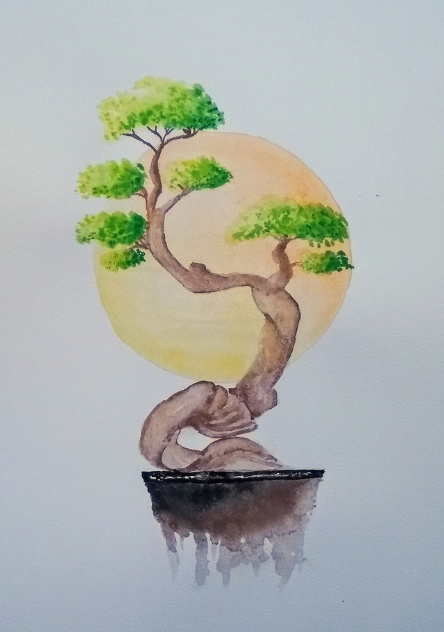 Bonzaï sur soleil couchant - Aquarelle originale 