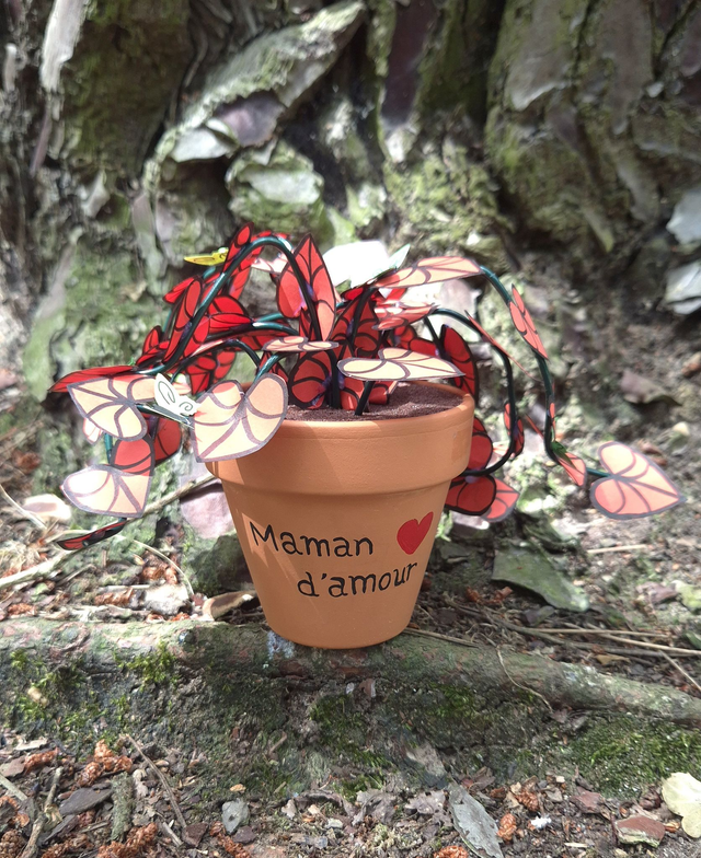 Baby plante "Maman d'amour"