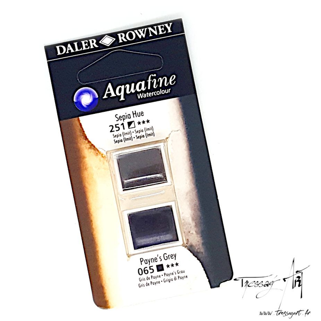 DALER ROWNEY - AQUARELLE DEMI-GODETS par 2 - GRIS 251 & 065 - CA002251