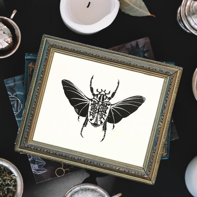 Linogravure A5 Scarabée Goliath