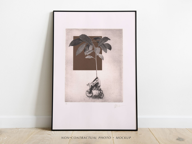 Fine art etching / Not Framed / The Avocado