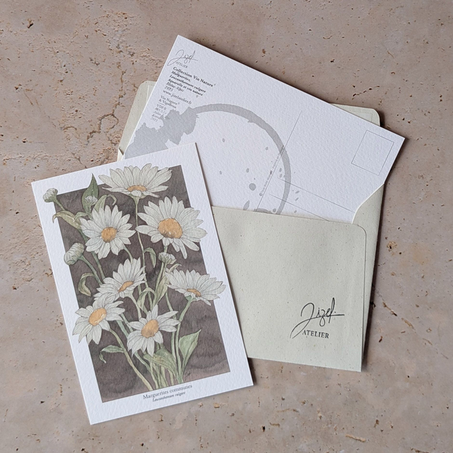 Carte postale - Vin Nature - Marguerites