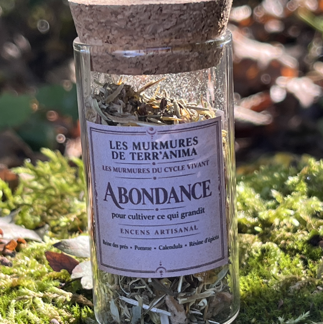 Encens "ABONDANCE"