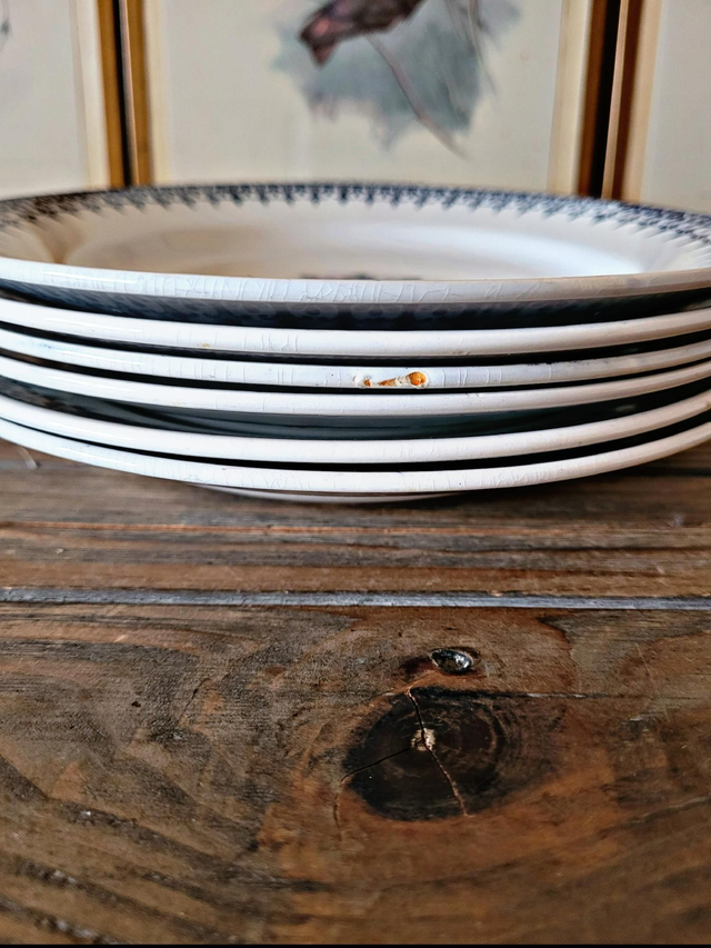 X Assiettes plates Saint Amand Primax, terre de fer bleu arabisant