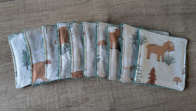 Lingette lavable (1)