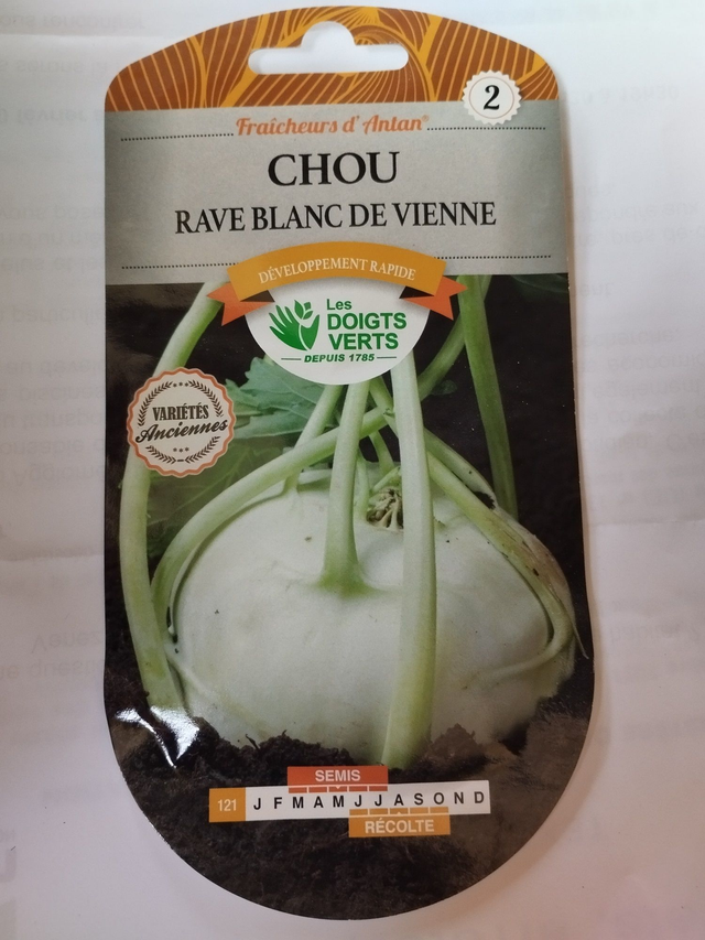 Chou Rave blanc de Viennes