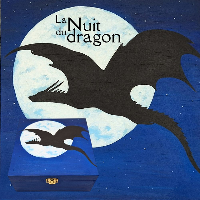 Boîte de rangement 4 compartiments : La nuit du dragon