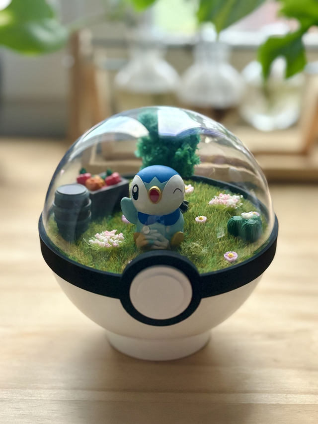 🌼 Terrarium Pokémon - Édition printemps -  Tiplouf