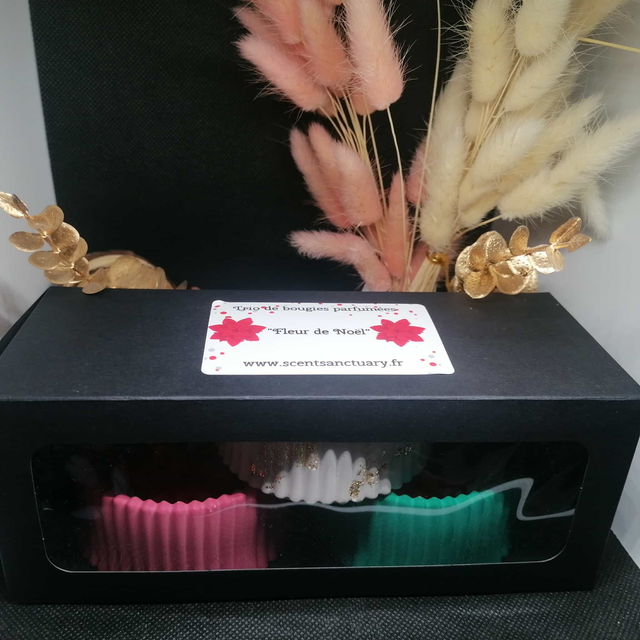 Trio bougies de Noël parfumées