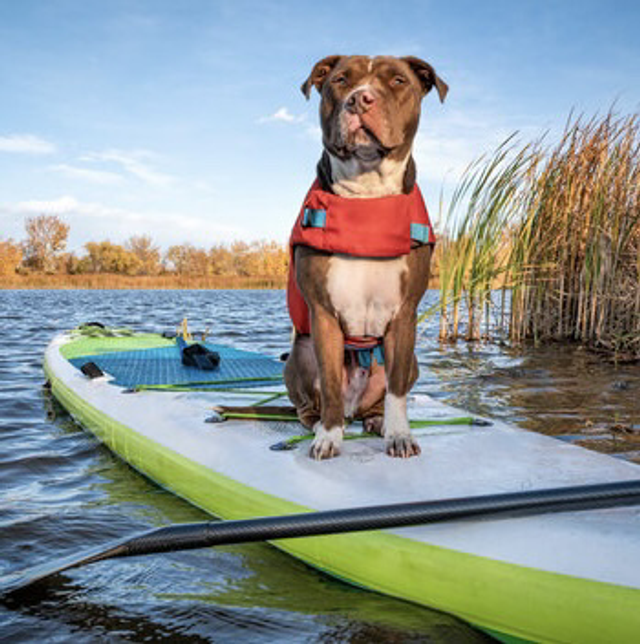 Multi-Board Discount Full Days Hire