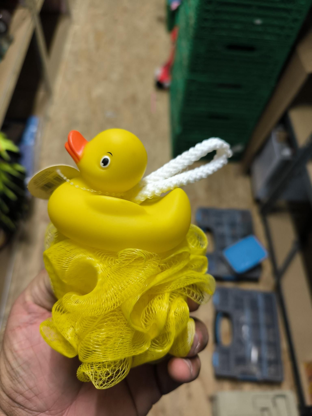 FLEUR DE DOUCHE CANARD 