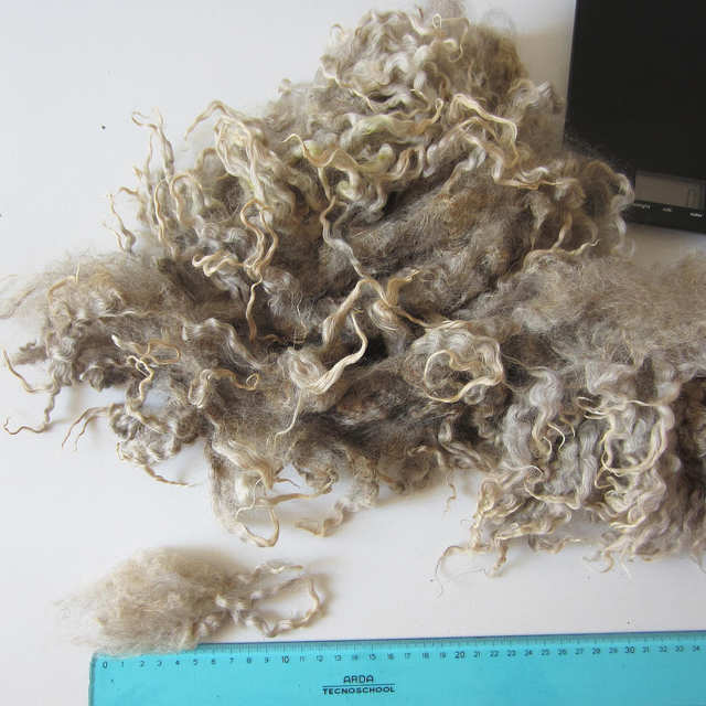 Riccioli Fine Leicester (sporco) 50g. 