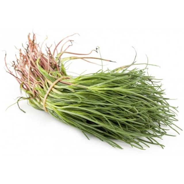AGRETTI o BARBA DEL FRATE- 1 MAZZO-300gr