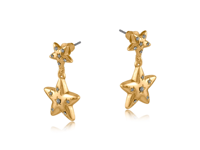 Organic Gold Star Earrings