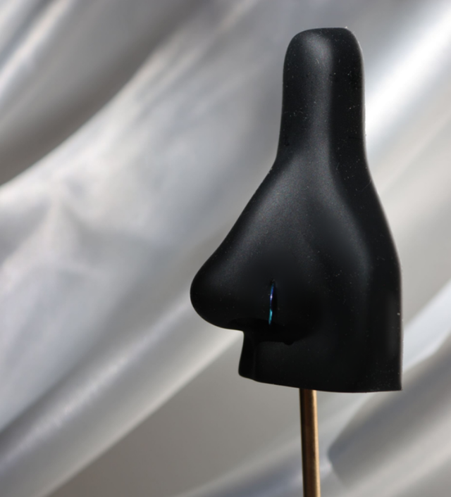 Faux anneau de nez Simple holo (0.8mm)