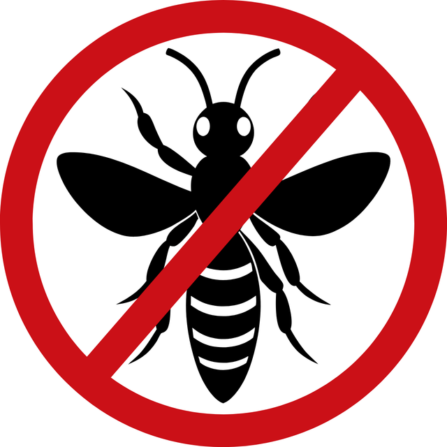 Disinfestazione Vespe e Calabroni Consulenza Tecnica