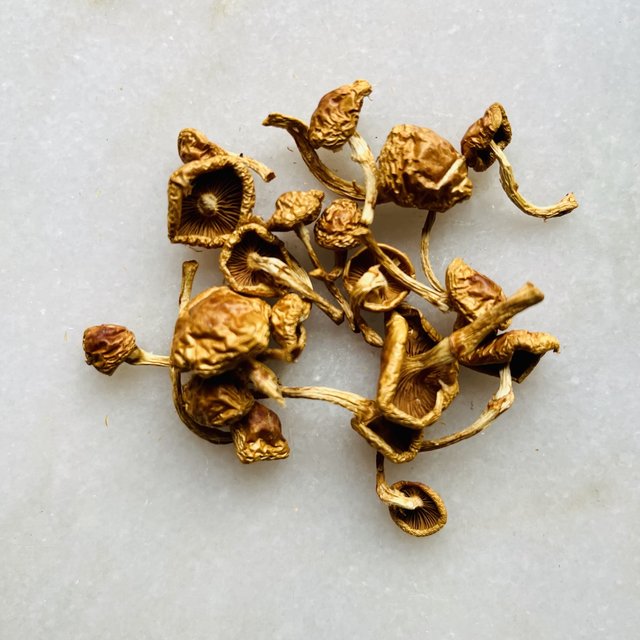 Gedroogde Nameko BIO