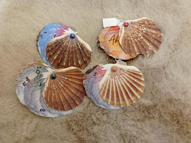 Mantras coquille st jacques