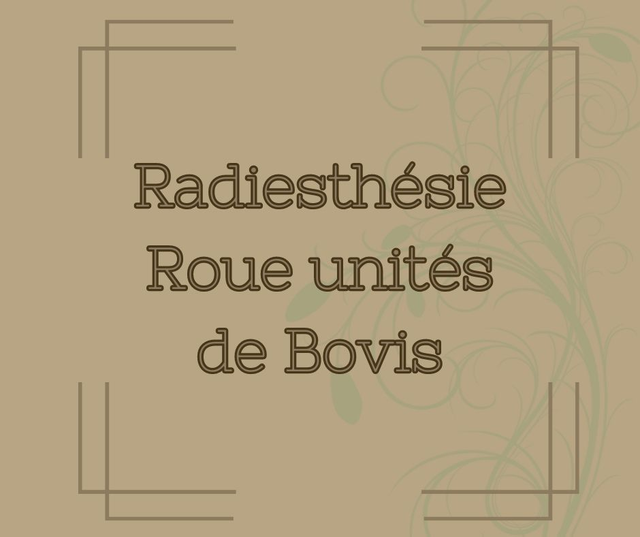 Unités de Bovis
