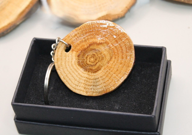 Avaimenperä - Tervaleppä