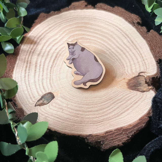 Pin gatos - gato gordo llorando